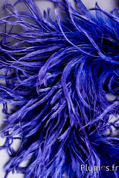 Autruche mèche  - 10 cm - bleu nuit